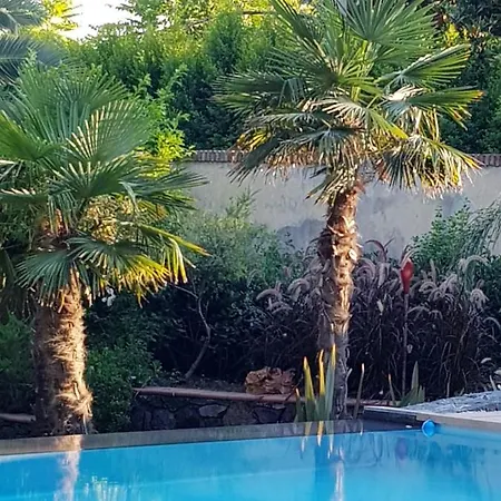 Charming - - 40 M² - Pool & Garden Apartment *