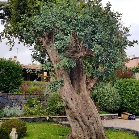 Charming - - 40 M² - Pool & Garden Trecastagni